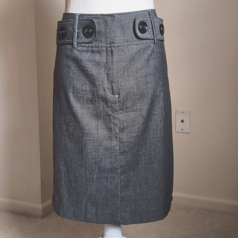 Dress or business skirt
